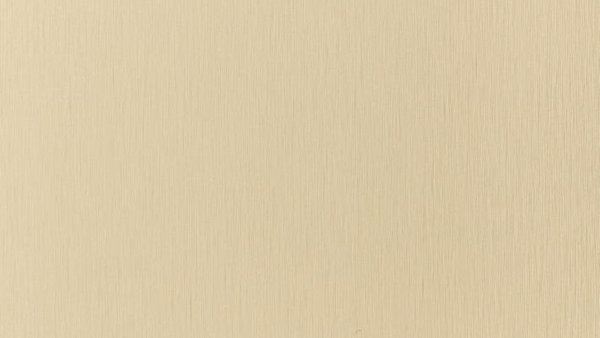Dekodur, Dekor Champagner Gold (A451 HSM)