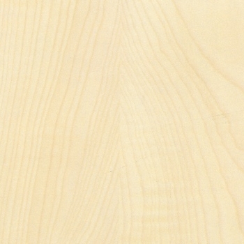 Dekodur, Dekor Ivory Maple (D40)