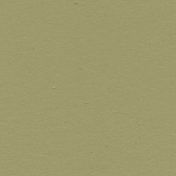 Dekodur, Dekor Olive Green (D20)