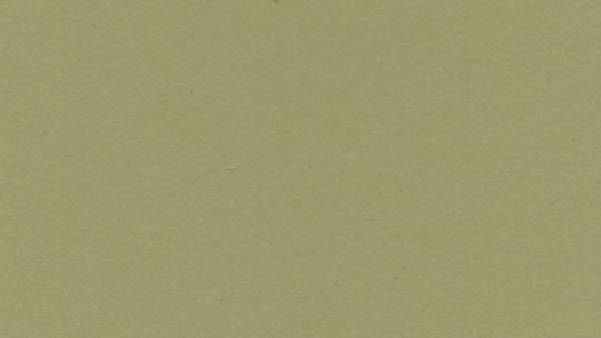 Dekodur, Dekor Olive Green (D20)